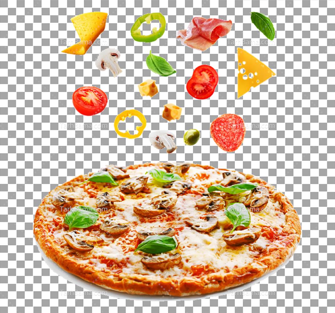 تصاویر همبرگر و فست فود